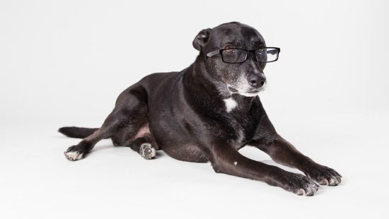 Get ready to don your AR glasses, eventually coming to a nose near you