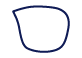 icon zlens